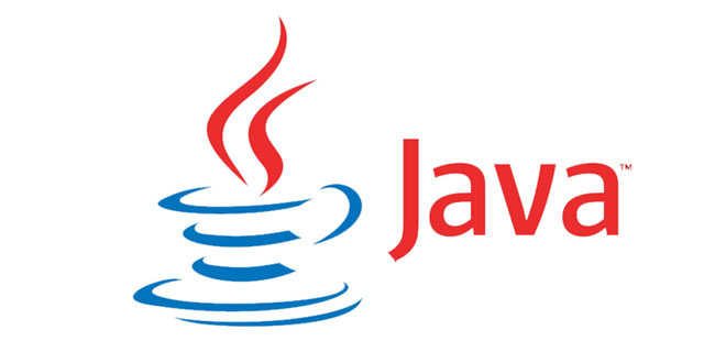 Java Runtime Environment 8.91
